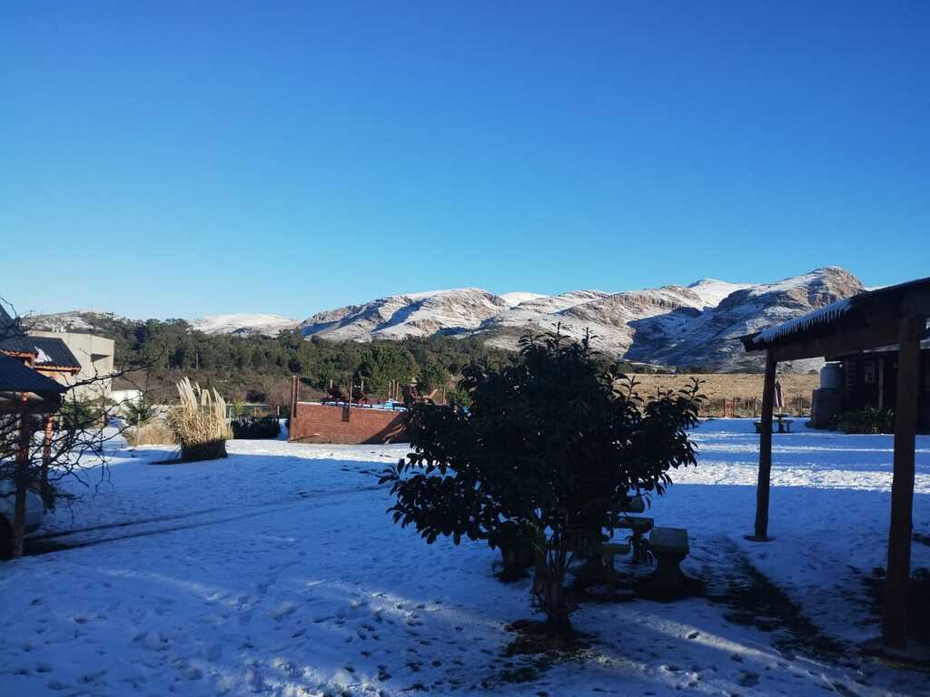 Complejo Arai